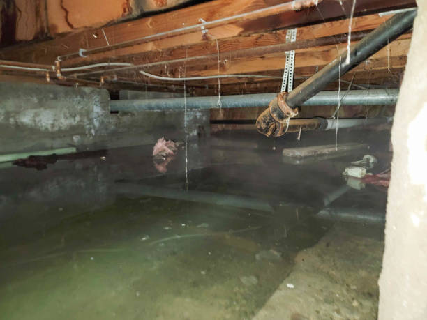 Professional Water damage restoration in Fowlkes, TN